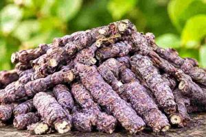 Powdered Purple Dried Snack Sticks